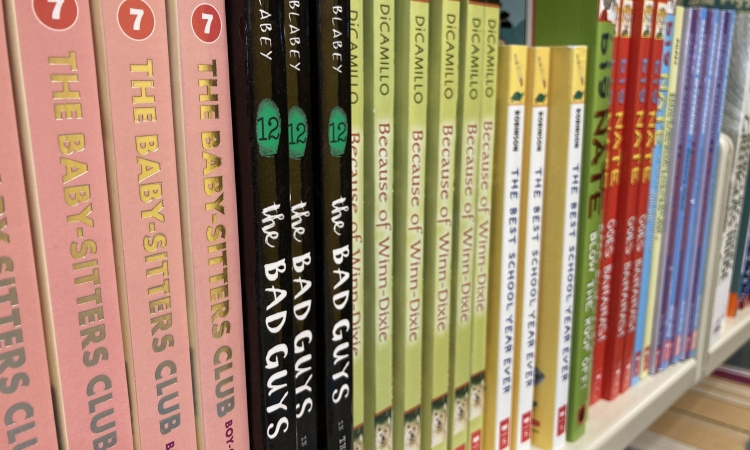 Close-up shot of kids' graphic novel series on shelf