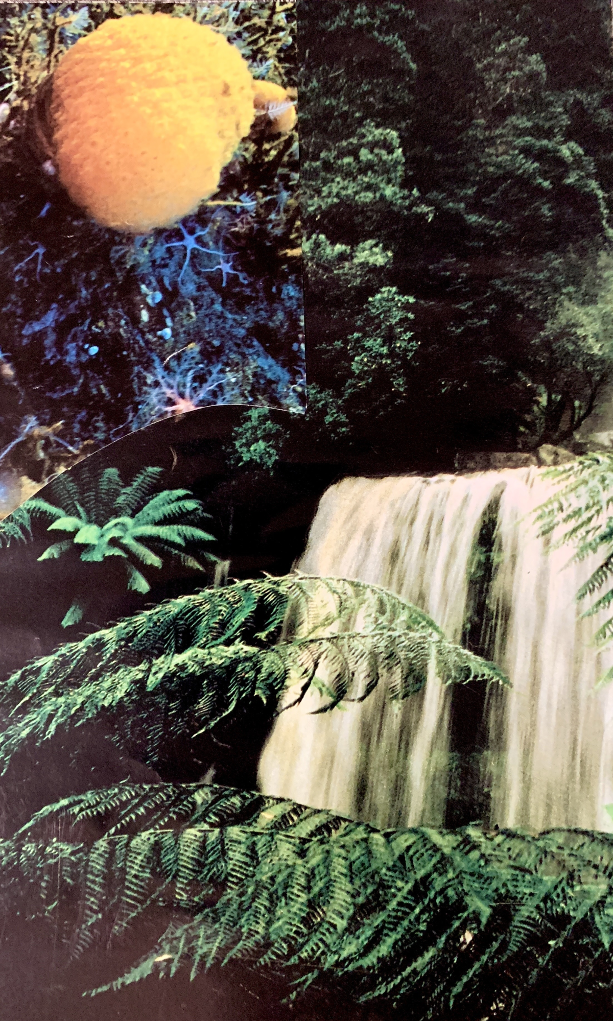 collage landscape of waterfall with ground ferns in the foreground and yellow fungi in the sky: verdant and peaceful 